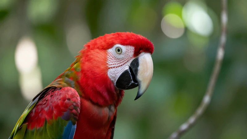 Guacamayo escarlata en vibrante selva tropical