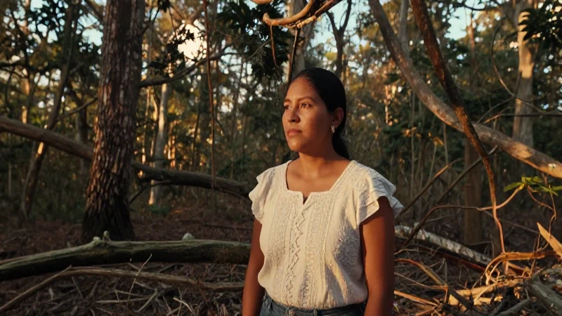BOSQUES DE COLIMA: Descubre sus ECOSISTEMAS y SELVA SECA 7 Mujer mestiza en bosque colimense, luz dorada