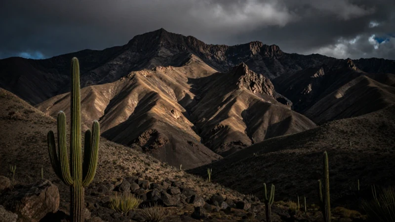 Cerro Partido: paisaje agreste, cactos, claroscuro