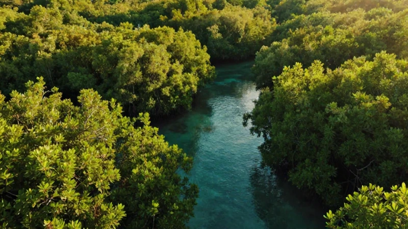 Campeche ofrece naturaleza exuberante y serena
