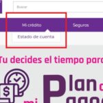 Cómo consultar, registrar y pagar tu Crédito Suburbia en México