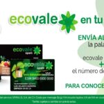 Cómo consultar saldo en Ecovale por celular en México