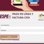 Cómo liquidar recibo de agua en línea con CESPE