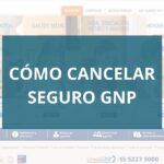 Cómo puedo cancelar mi seguro de GNP de manera efectiva