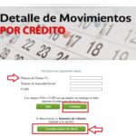 Cómo puedo verificar mi saldo en Fonacot