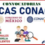 Cómo solicitar una beca de Conacyt para especialidad
