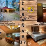 Conoce las Cabañas del Tío Alberto en Aldama
