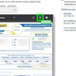 Consulta retiro por desempleo y estado de cuenta en Afore Coppel