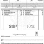 Consulta y descarga de talones de pago en FONE Chiapas