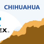 Contacto Telmex en Chihuahua: Números y Horarios