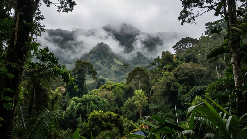 Cordillera Centroamericana: DESCUBRE su IMPACTO GEOGRÁFICO 1 Selva centroamericana, montañas brumosas e iluminación cinematográfica
