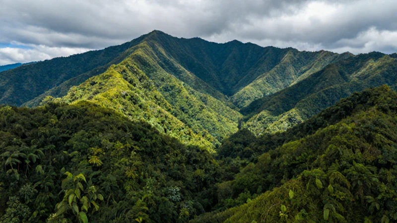 Paisaje vibrante, montañas y selva exuberante