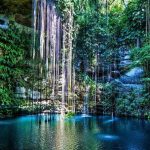 Descubre la Asombrosa Belleza de la Vegetación en Yucatán