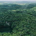 Descubre la Exótica Flora y Selvas de Quintana Roo