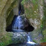 Descubre la Flora y Ecosistemas Asombrosos de Hidalgo