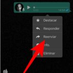 Dónde se guardan los audios de WhatsApp en Android e iOS