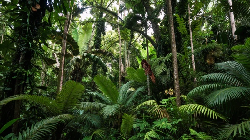 Estado de México: DESCUBRE la TEMPERATURA y CLIMA Actual 4 México exhibe naturaleza exuberante y vibrante