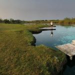 Explora el Río Chumpan: Joyas Aquáticas en Campeche