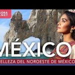 Explora las Fascinantes Regiones Fisiográficas de México