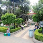 Explora variedad de tiendas en Plaza Tlalpan