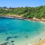 Explorar las maravillas submarinas de Puerto Escondido