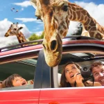 Fascinante Fauna de Puebla: ¡Descubre Sus Especies Únicas!