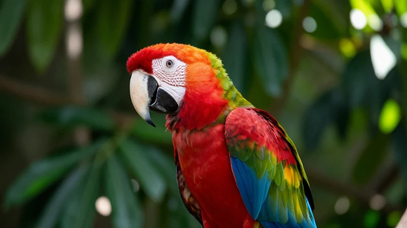 fauna de michoacan h3