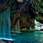 FAUNA Y FLORA DE QUERÉTARO: DESCUBRE SU RIQUEZA NATURAL