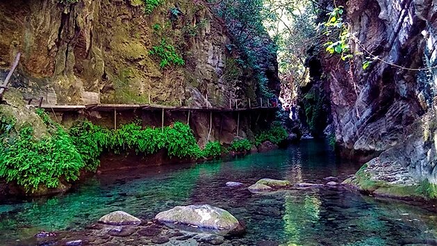 FLORA DE QUERÉTARO: DESCUBRE SU RIQUEZA NATURAL Y BELLEZA 2 flora de queretaro descubre su riqueza natural y belleza