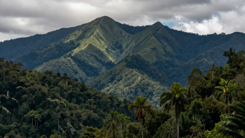 Paisaje exuberante y realista en la montaña