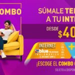 Guía de Blue Telecomm: Servicios en Línea y Estado de Cuenta