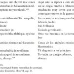 HIMNO A GUERRERO: Descubre la LETRA y su Significado  ️‍