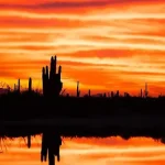 Historia de Sonora: Momentos Clave y Datos Sorprendentes