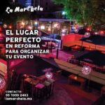 Mejores bares en Zona Rosa y Reforma para la vida nocturna en CDMX