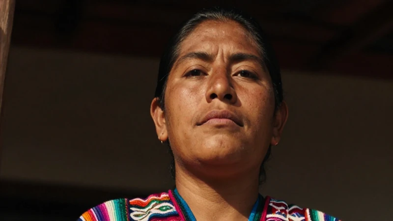 MéXICO: Descubre su SIGNIFICADO y ORIGEN Fascinante 6 Retrato mexicano, cálido y texturizado