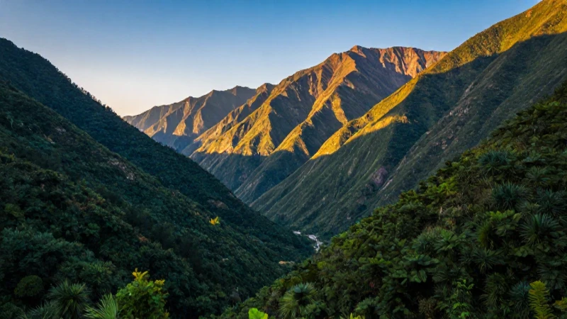 Paisaje vibrante bajo luz dorada