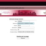 Pago OPDM en línea: métodos y consultas frecuentes