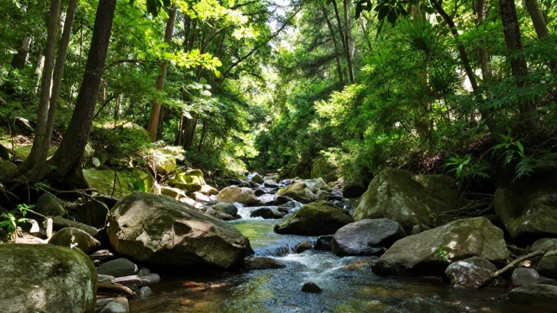 Cuáles son los Parques Naturales que puedes visitar en Puebla 4 Fotografía documental en vibrante naturaleza exuberante
