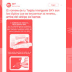 Qué es la tarjeta inteligente de Sky y cómo usarla al máximo