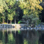 Qué maravillas naturales ofrece Tlalpan para descubrir
