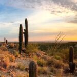 Qué ofrece Hermosillo en sus parques y atracciones
