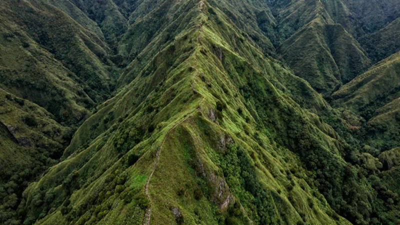 OROGRAFÍA DE CHIAPAS: DESCUBRE SUS IMPRESIONANTES RELIEVES 4 Mozotal: montaña verde, vista aérea luminosa