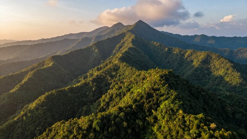 OROGRAFÍA DE CHIAPAS: DESCUBRE SUS IMPRESIONANTES RELIEVES 8 Montañas, selva exuberante, luz dorada espectacular
