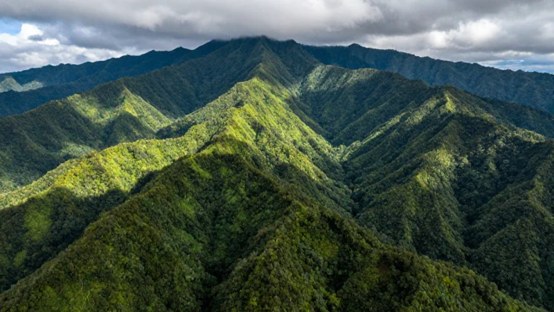 OROGRAFÍA DE CHIAPAS: DESCUBRE SUS IMPRESIONANTES RELIEVES 1 Paisaje montañoso exuberante y realista en 8k