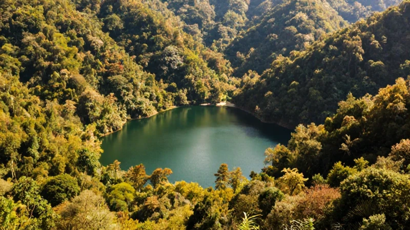 RÍOS en Chiapas: DESCUBRE sus LAGOS, PRESAS y ACUÍFEROS 4 Paisaje vibrante: lago, bosque, luz natural