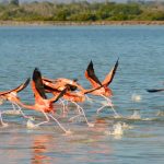 RÍOS de SONORA: DESCUBRE PRESAS y ACUÍFEROS ESPECTACULARES