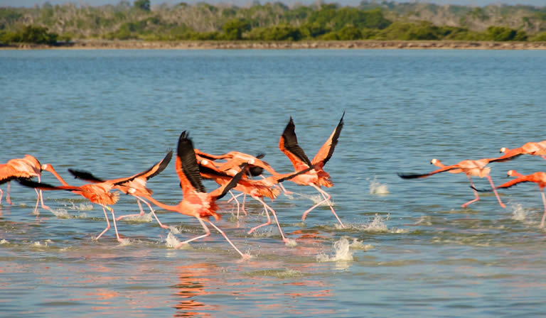 RÍOS de SONORA: DESCUBRE PRESAS y ACUÍFEROS ESPECTACULARES 8 rios de sonora descubre presas y acuiferos espectaculares