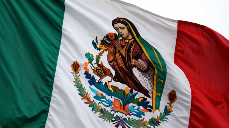 Imagen impactante de la Virgen en Hidalgo