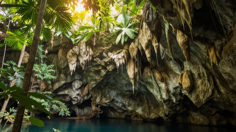 Cenote yucateco: naturaleza, luz y calma